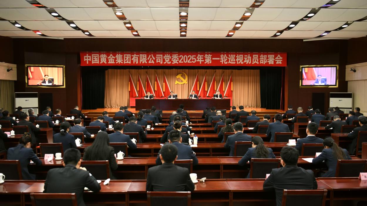 集團(tuán)公司黨委召開(kāi)2025年第一輪巡視動(dòng)員部署會(huì)